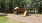 Large playground surrounded by trees